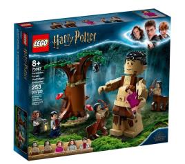 Playset Harry Potter 