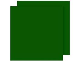 Cartolina CANSON Verde (A4 - 50 Unidades - 185 g/m²)