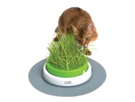 Senses 2.0 Grass Planter Germinator 392 gr 