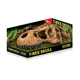 Gruta Fossil Cave T-Rex Skull 