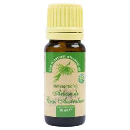 Pni Óleo Essencial De Tea Tree 10 Ml One Size Green / Brow / Yellow