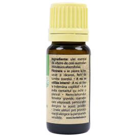 Pni Óleo Essencial De Tea Tree 10 Ml One Size Green / Brow / Yellow