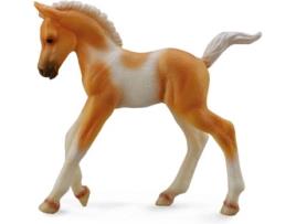 Figura  Pinto potro de passeio