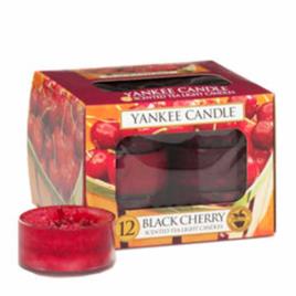 Caixa 12 Tealgihts  BLACK CHERRY 1129755