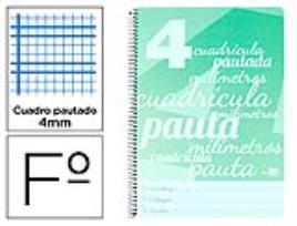 Caderno Espiral Capa Plastico 80F 80Gr Quadricula Pautado 4mm c/ Margem Verde