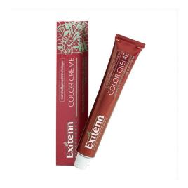 Tinta Permanente Color Creme Exitenn Nº 462 Eggplant (60 ml)