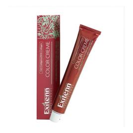 Tinta Permanente Color Creme Exitenn Nº 6EX Red Magenta (60 ml)