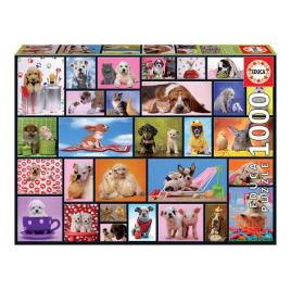 Puzzle Shared Moments Educa (1000 pcs)