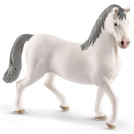 Cavalo Lipizzaner