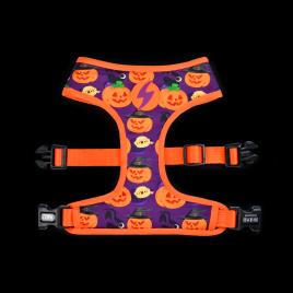 Neo Mesh Pumpkin M