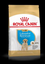 Royal Canin Labrador Retriever Puppy