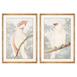 Pintura DKD Home Decor Papagaio (50 x 2 x 70 cm) (2 pcs)