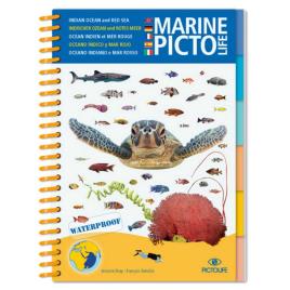 Pictolife Marine Indian Ocean And Red Sea One Size Blue / White