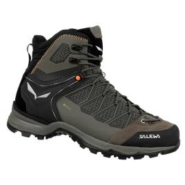 Salewa Botas Caminhada Mtn Trainer Lite Mid Goretex EU 44 Bungee Cord / Black