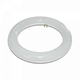 Lampada T9 Circular 15w 6400k