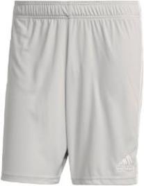 Pantalones Cortos Tastigo 19 S Team Light Grey / White