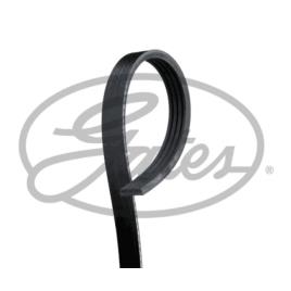 Correia  4pk728