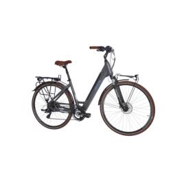 Bicicleta Elétrica De Cidade  Everyway E250 T44 28 Cinzenta (bateria Incluída)'