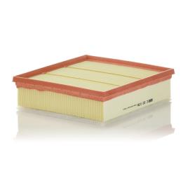 Filtro De Aire  C22039