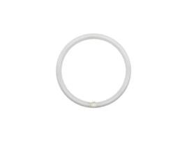 Lampada Led Circular T9 400mm 2306c-yh40 32w 6000k