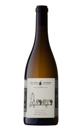 D.N.M.C  Arinto 2019