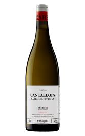 Cantallops 2019