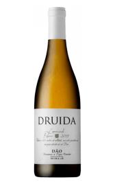 Druida Encruzado Branco 2019