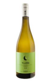 Yllera Verdejo Vendimia Nocturna 2020