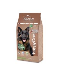 HappyOne Premium Hipoalergénico Borrego e Arroz Pack económico : 4 x 15 kg