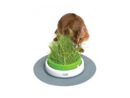 Catit Senses 2.0 Erva Gateira CatNip Base c/ erva gateira