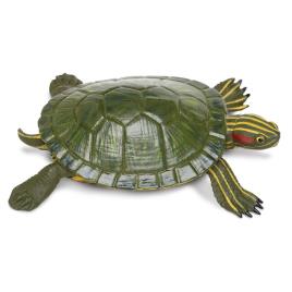 Safari Ltd Tartaruga-de-ouvido-vermelho From 3 Years Green