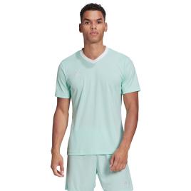Adidas Camiseta Manga Corta Entrada 22 L Clear Mint