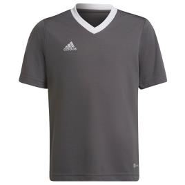 Adidas Camiseta Manga Corta Entrada 22 140 cm Team Grey Four