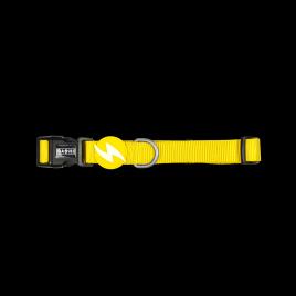 Dashi Coleira Amarelo L