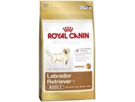 Ração para Cães ROYAL CANIN Labrador Retriever (12Kg - Seca - Sabor: Frango e Arroz)