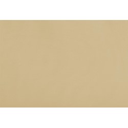 Tela para toldo TELA ELITE NOE SCANDI BEGE 4X2.5M