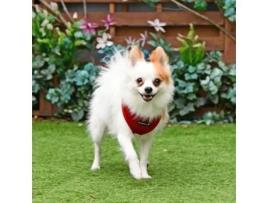 Peitoral Puppia Soft Bordeaux XS