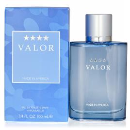 Dana perfume Valor For Men EDT 100 ml