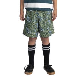 Element Shorts Juvenis Canyon Timber 14 Years Garden Ty