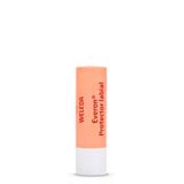 Everon Lip Balm