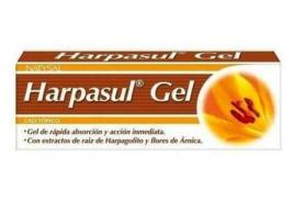 Harpasul Gel com Silicone Orgânico 100ml