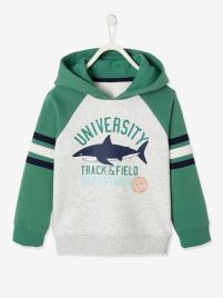 Sweat com capuz e motivo gráfico, para menino verde medio liso com motivo
