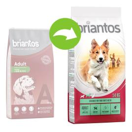 Briantos Adult cordeiro e arroz - 14 kg