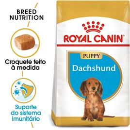 Royal Canin Dachshund Puppy/Junior - Pack económico: 3 x 1,5 kg