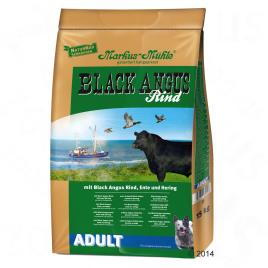 Black Angus Adult - Pack económico: 2 x 15 kg