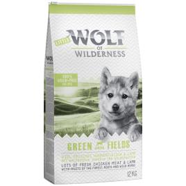 Little Wolf of Wilderness Junior Green Fields com cordeiro - 12 kg