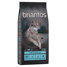 Briantos Adult salmão e batata - SEM CEREAIS - Pack económico: 2 x 12 kg