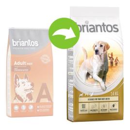 Briantos Adult Maxi - 14 kg