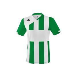 Erima Jersey Siena 3.0 10 Years Green / White