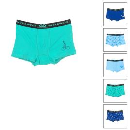 Le Petit GarÇon Lpg Boxers Pack 6 4 Years Multicolored